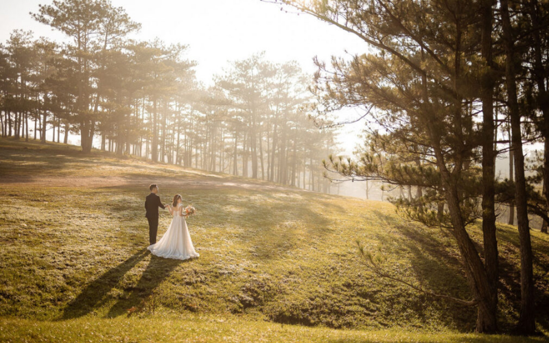 Dáng chụp hình cưới tại rừng thông