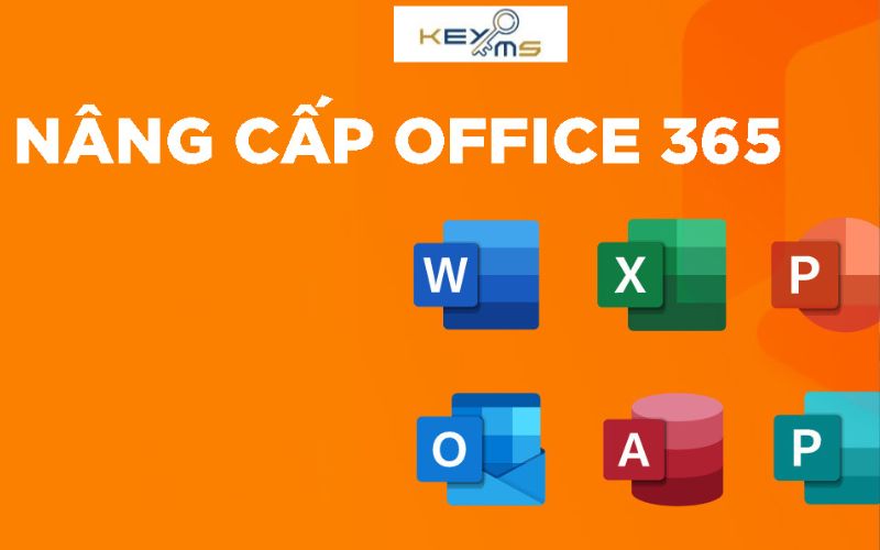 ekeyms nâng cấp office 365 giá rẻ uy tín